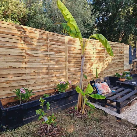 Jardim De Olivia
