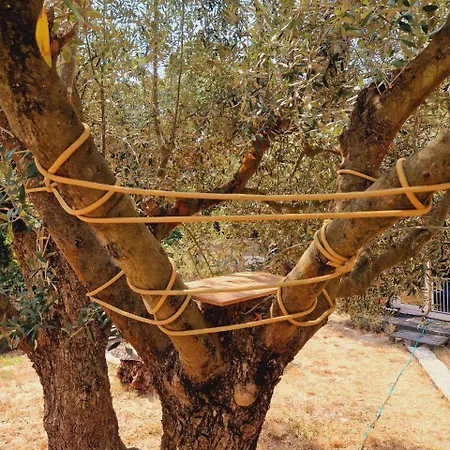 Jardim De Olivia فيغيورا دا فوز