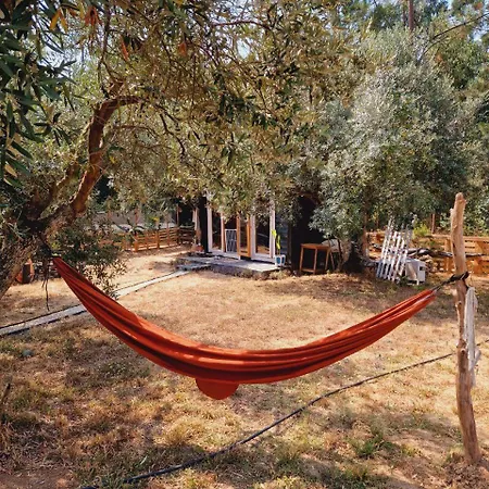Jardim De Olivia *